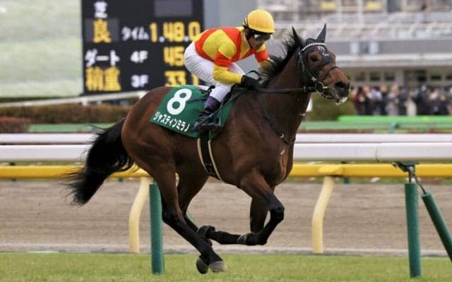 【共同通信杯】ジャスティンミラノがデビュー2連勝…ジャンタルマンタルは2着