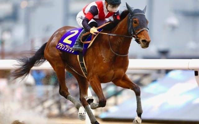 【佐賀競馬】伝統の大一番 さらなる活躍を見据える実績馬集う佐賀記念