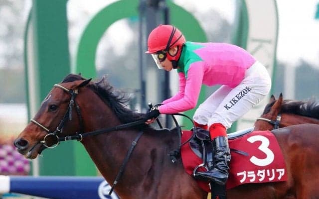 【京都記念】池添謙「しぶとく脚を使ってくれた」プラダリアが重賞3勝目
