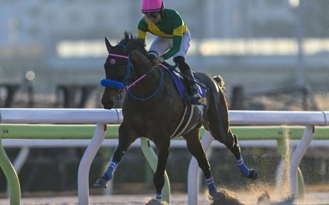 ダートGIフェブラリーSなどJRAで4重賞/今週の競馬界の見どころ