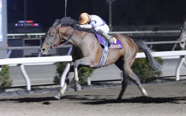 【高知・だるま夕日賞】モダスオペランディがハナ差V…断然人気ロードブレスを凌ぐ