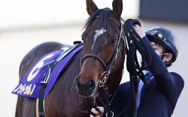 佐賀記念に実績馬集結 秋のJBCに向けて見逃せない一戦