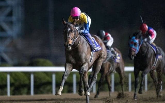 【佐賀記念】武豊ノットゥルノが久々V！4馬身差完勝…「JBCに帰ってきたい」