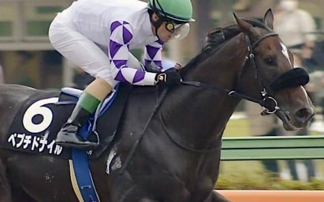 藤岡佑介騎手が6年ぶりのJRA・GI2勝目へ 伏兵ペプチドナイルでフェブラリーS参戦