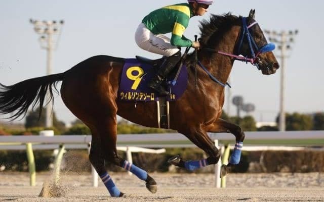 フェブラリーS想定騎手27頭 ウィルソンテソーロは松山弘平騎手、ドゥラエレーデはB.ムルザバエフ騎手