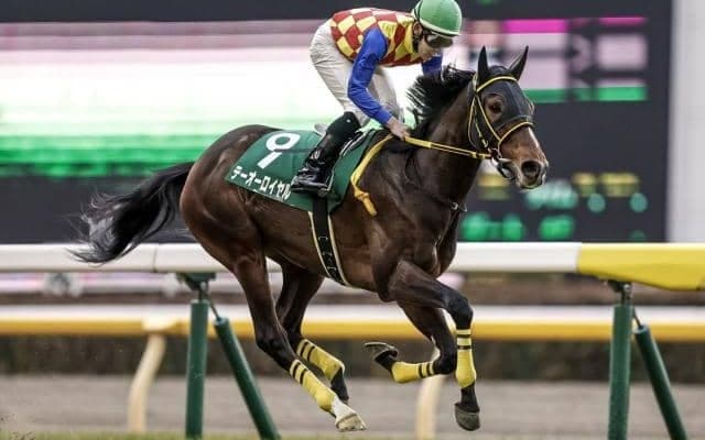 ダイヤモンドS想定騎手10頭 テーオーロイヤルは菱田裕二騎手、サリエラはC.ルメール騎手