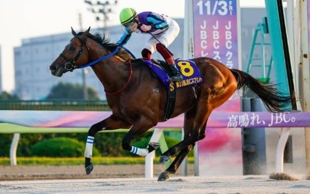 25年ぶりの快挙へ フェブラリーSに地方から3頭参戦 