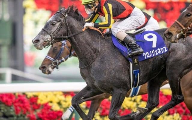 芝・ダートの双方で実績残した名馬“クロフネ” 母父としての実績も「二刀流」