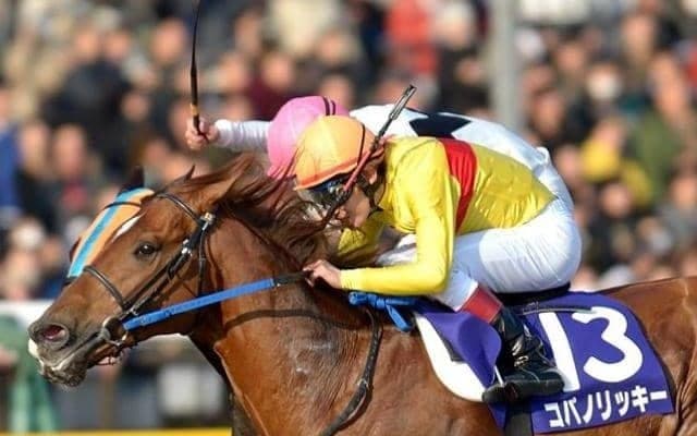 “荒れやすいGI”フェブラリーS 全19回から3連単高配当ランキングベスト3を紹介