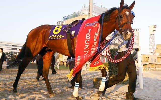 西村淳也騎手がフェブラリーSでJRA・GI初制覇へ JBCスプリント覇者と初タッグ