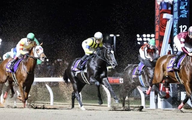 【雲取賞】イーグルノワールは7枠13番、白毛馬アマンテビアンコは5枠9番