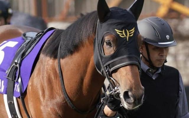 古豪8歳馬が4年連続のフェブラリーS参戦 歴史的1勝を手にできるか