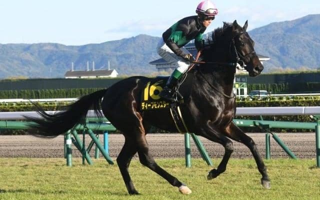 【小倉大賞典予想オッズ】ディープモンスターが予想1番人気