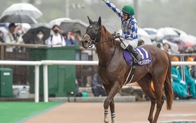 歴史的快挙へ2頭が挑戦 初ダートでフェブラリーS制覇狙う