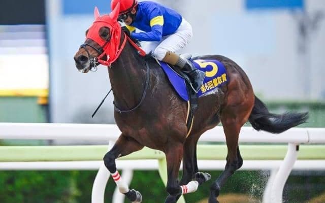 【大井・雲取賞結果】ブルーサンが逃げ切って重賞初制覇！