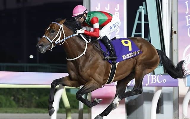 【フェブラリーS】ヒダカBUが6年ぶりのJRA・GI制覇へ キングズソードが参戦