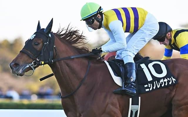 快速馬ネロ産駒なのに長距離4勝 ダイヤモンドSに注目の4歳馬が参戦