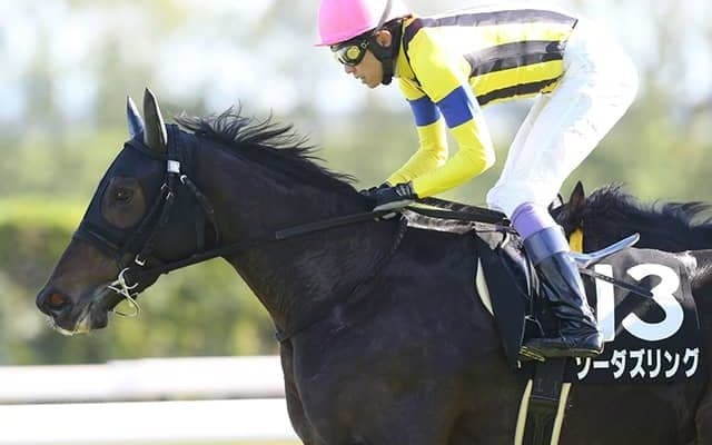 武豊騎手4度目の京都牝馬S制覇なるか ソーヴァリアント妹と参戦