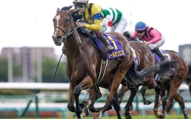 【中山記念想定】ソールオリエンス、ジオグリフなど17頭