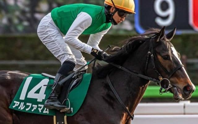 GI昇格後初の牝馬Vへ 今年のフェブラリーSは2頭が参戦