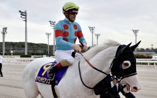 【雲取賞】ルメール「躓いてちょっと出遅れた」白毛馬アマンテビアンコは2着