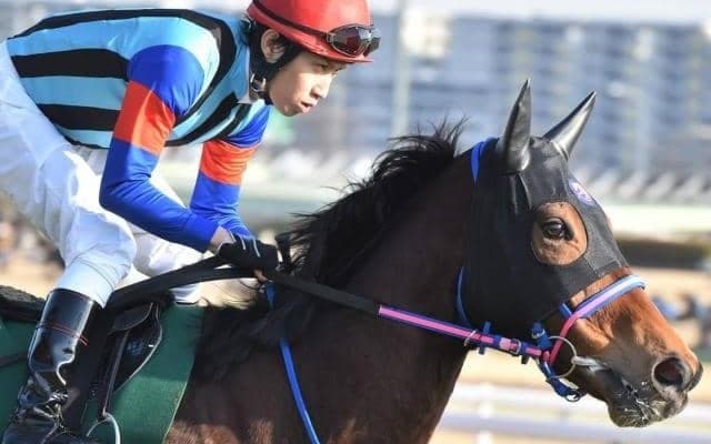 長距離重賞はオルフェーヴル産駒にお任せ 衰え知らずの8歳馬がダイヤモンドSで重賞初Vだ