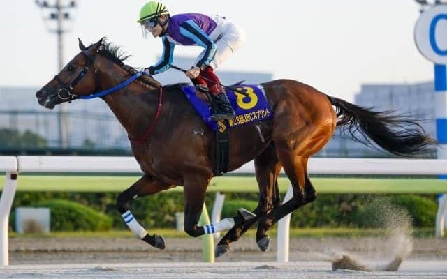 【フェブラリーS予想】オッズ的にも妙味アリ！ 先週的中のAIの注目馬には逆らえない