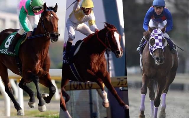 フェブラリーSで掲示板に載った地方馬は何頭いる？ 25年前にはメイセイオペラが史上初＆唯一のJRAGI制覇