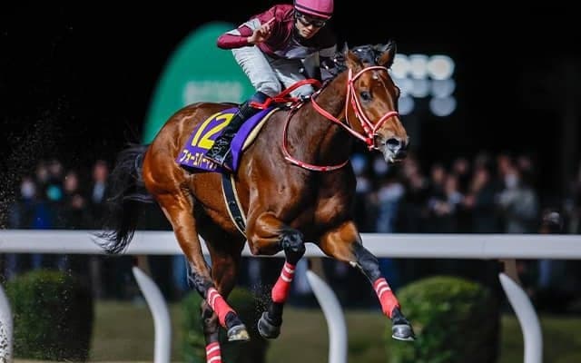 アメリカ三冠競走にJRAから45頭が予備登録 フォーエバーヤングやゴンバデカーブースなど