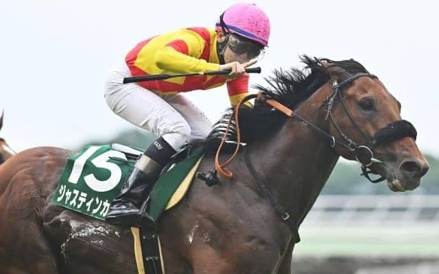 ジャスティンカフェが右前浅屈腱炎で9カ月以上の休養見込み 昨年のマイルCS3着馬