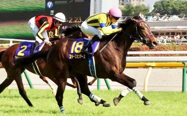 スターズオンアースから規制薬物・フルニキシンが検出　クラブ側「経緯は不明」