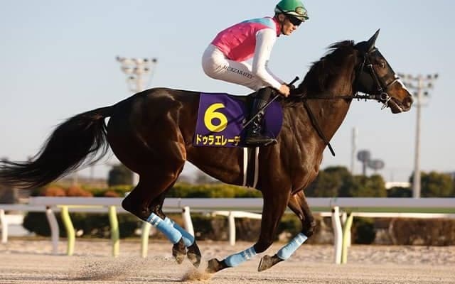 【フェブラリーS・調教後馬体重】ドゥラエレーデは532kg、ドンフランキーは602kg