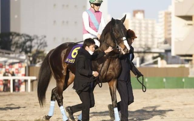 史上6頭目のJRA芝ダートGIダブル制覇なるか フェブラリーSで2頭が偉業にチャレンジ