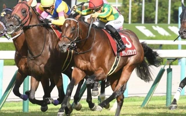 カタールの国際G3 アミールトロフィーに日本馬3頭が出走