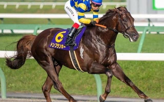 600kg近い超大型馬ドンフランキー “ヒシアケボノ超え”となるGI最高馬体重勝利記録の更新なるか