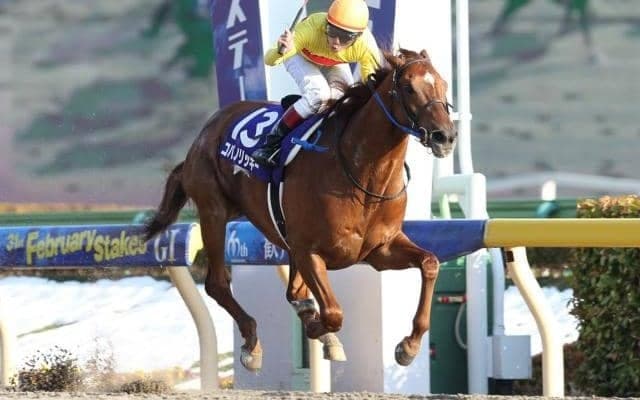 単勝27210円の大波乱のフェブラリーSから10年 伝説への第一歩は「まさか」の勝利から