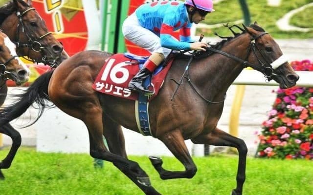 ダイヤモンドSはディープ産駒の“鬼門”!? 戴冠目指し2頭がエントリー