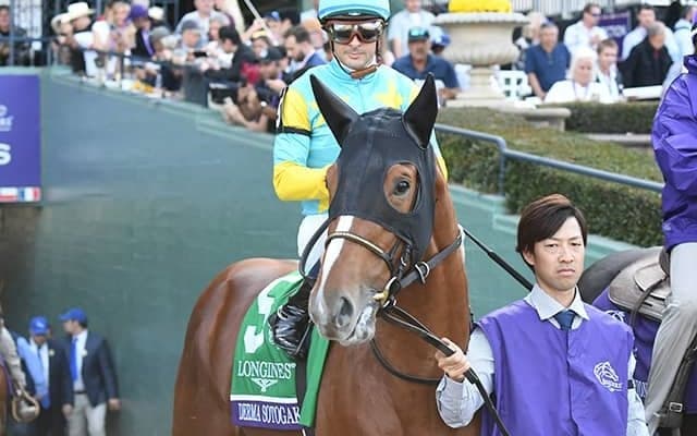 【サウジCオッズ】日本馬トップは6.0倍のデルマソトガケ 1番人気は米のホワイトアバリオ
