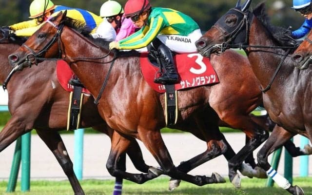 【カタール】アミールトロフィーにサトノグランツ日本馬3頭が出走