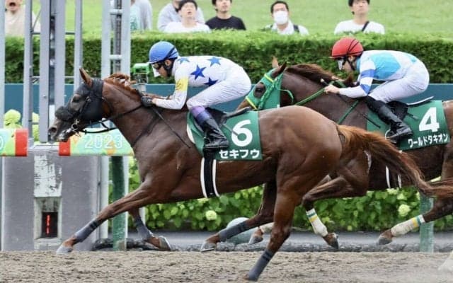 武豊騎手 今週の騎乗馬…セキフウでフェブラリーS参戦