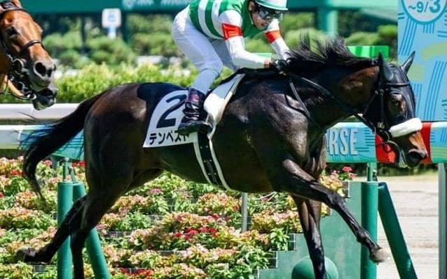 名牝シーザリオ最後の仔 超良血馬が半年ぶりの復帰戦へ