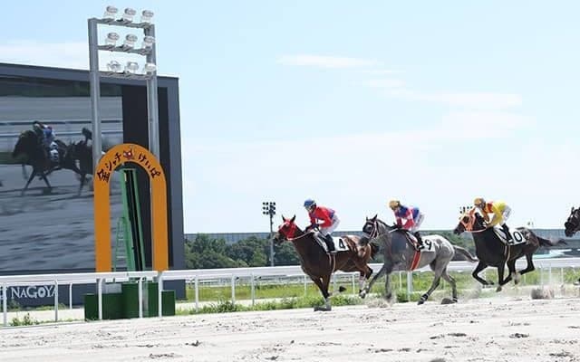 【名古屋・スプリングC結果】スティールアクターが圧勝で重賞初制覇！