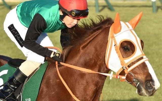 小倉大賞典20年ぶりの牝馬Vなるか 精鋭2頭がチャレンジ