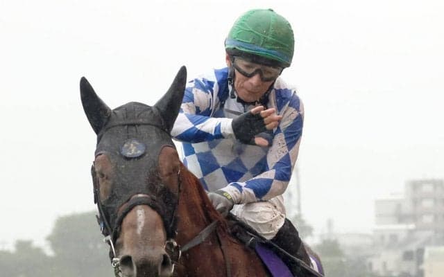 混戦模様のフェブラリーＳ　注目は過去６年で５勝の「ミスタープロスペクター系」の２頭