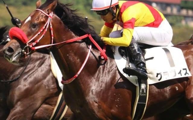 セレクト2.8億円の超良血馬 つばき賞で連勝狙う