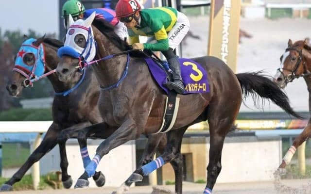 【フェブラリーS枠順確定】ウィルソンテソーロは7枠14番、オメガギネスは3枠5番