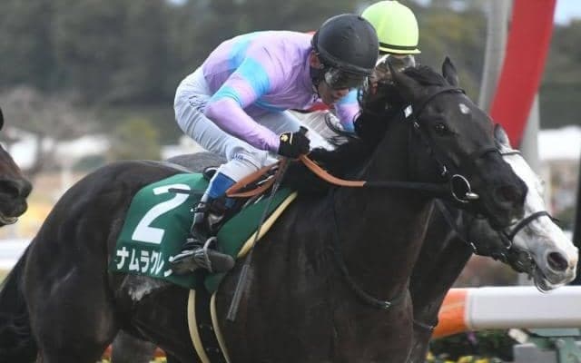 【京都牝馬S枠順確定】ナムラクレアは6枠12番、ソーダズリングは7枠15番