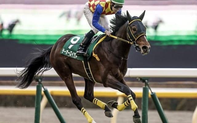 【ダイヤモンドS枠順確定】テーオーロイヤルは8枠9番、サリエラは7枠8番