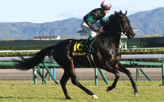 【小倉大賞典枠順確定】ディープモンスターは1枠1番、アルナシームは4枠7番