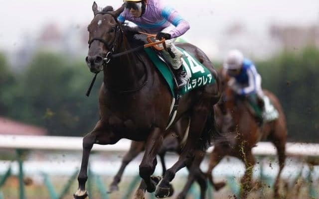 【京都牝馬S予想】距離延長組が大不振！ 求められるマイラー並みのスタミナ